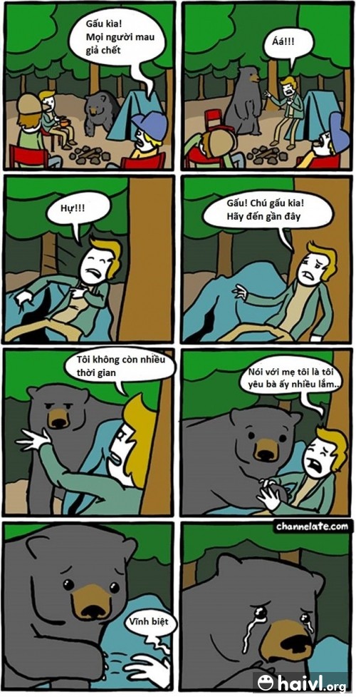 Khi gặp gấu giữa rừng...